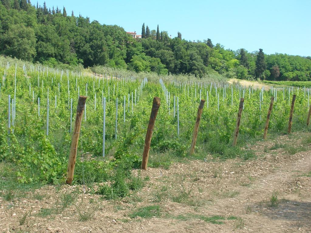Podere Ghiole モンテスペルトリ エクステリア 写真