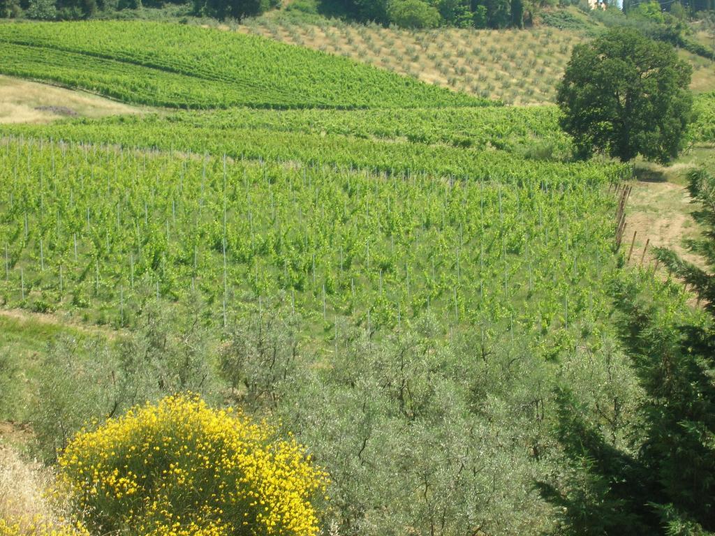 Podere Ghiole モンテスペルトリ エクステリア 写真