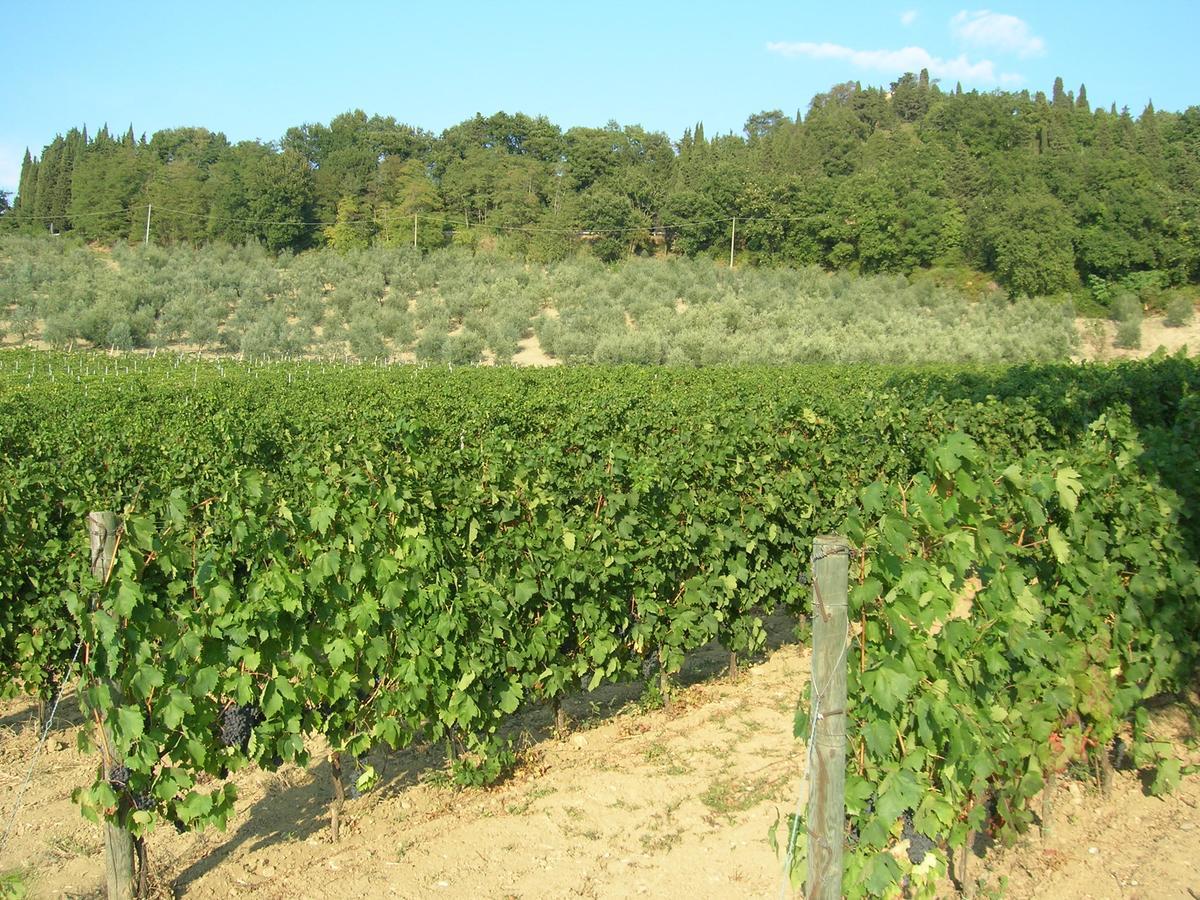 Podere Ghiole モンテスペルトリ エクステリア 写真